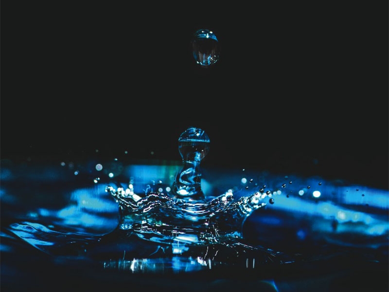 Pioneirismo e inovação marcam a trajetória da Lindoya Verão