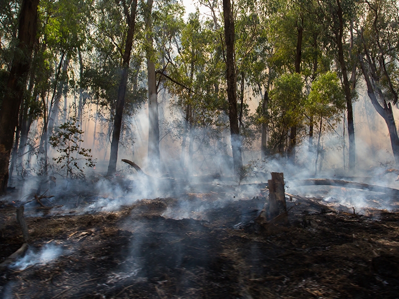 Queimadas na Amazônia custam R$ 1,5 milhão a mais ao SUS
