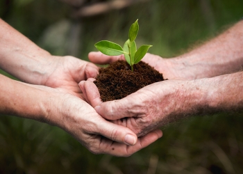 Unimed Sorocaba é reconhecida internacionalmente por redução dos impactos ambientais