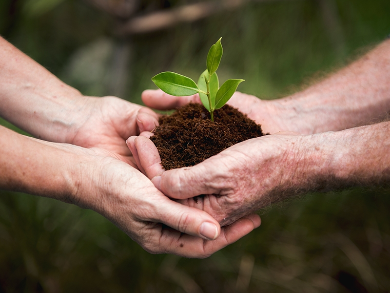 Unimed Sorocaba é reconhecida internacionalmente por redução dos impactos ambientais