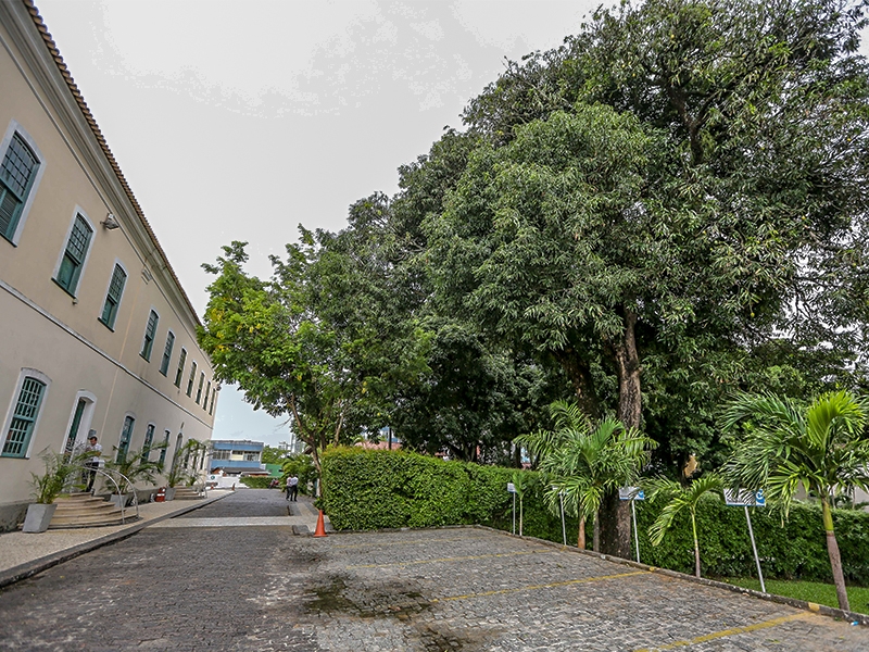 Santa Casa da Bahia inaugura faculdade de saúde com cursos de gestão hospitalar e cuidados paliativos