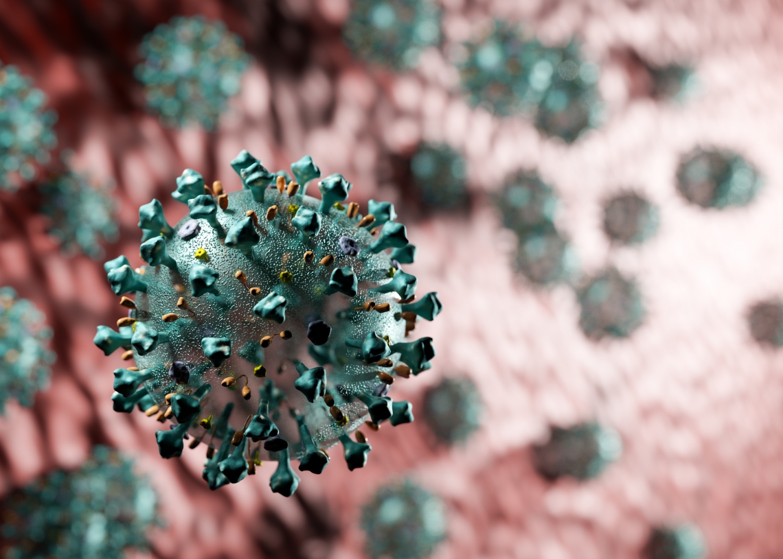 Covid-19: agir de forma oportunista, egoísta e antiética vai provocar uma catástrofe ainda maior