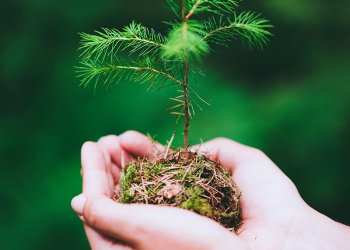 Grupo Fleury passa a integrar Índice Dow Jones de Sustentabilidade