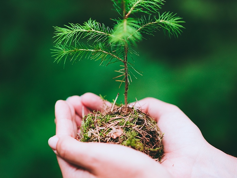 Grupo Fleury passa a integrar Índice Dow Jones de Sustentabilidade