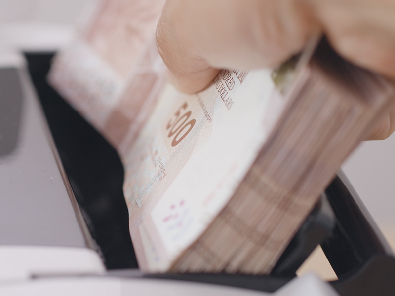 O Brasil e a Suíça frente à OMC e ao Banco de desenvolvimento Mundial conseguirão ter um bom futuro?