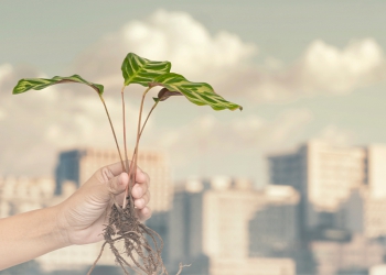 Einstein assina compromisso para reduzir em 50% emissões de gases de efeito estufa até 2030