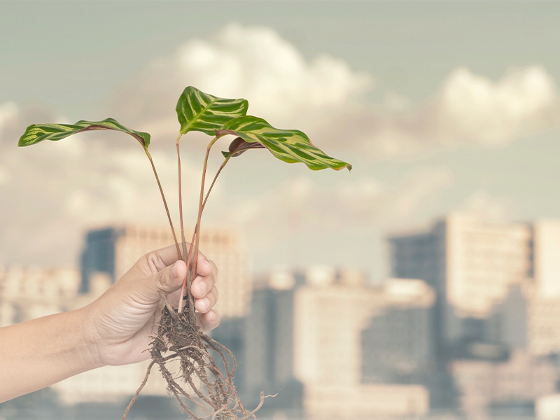 Einstein assina compromisso para reduzir em 50% emissões de gases de efeito estufa até 2030