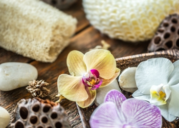 “Repensando a vida com Orquídeas”, por Marcos Gallo, CEO da Multimax Healthcare Marketing