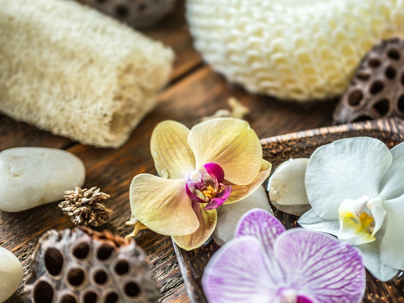 “Repensando a vida com Orquídeas”, por Marcos Gallo, CEO da Multimax Healthcare Marketing