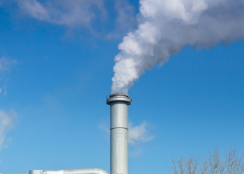 KPMG: Fator Pessoas é fundamental para as empresas alcançarem a meta de zero de emissões de carbono