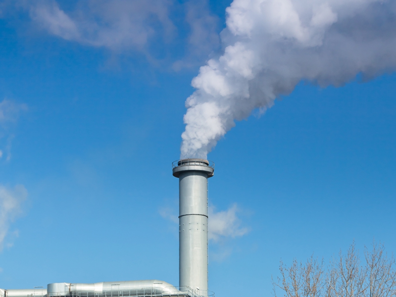 KPMG: Fator Pessoas é fundamental para as empresas alcançarem a meta de zero de emissões de carbono