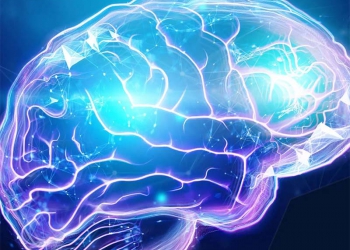 A única certeza que temos é nos adaptar e mudar o mindset