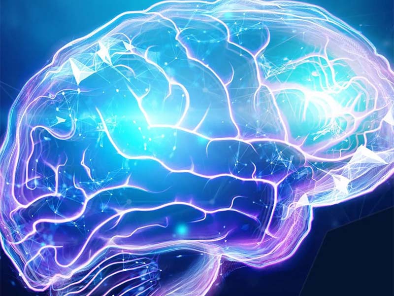 A única certeza que temos é nos adaptar e mudar o mindset