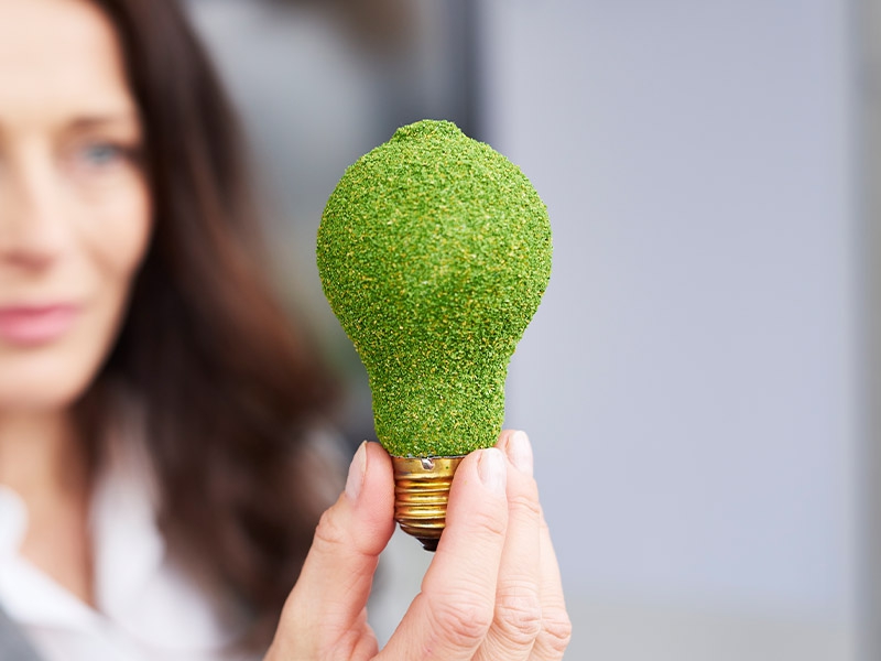 Einstein obtém certificado de uso de energia renovável