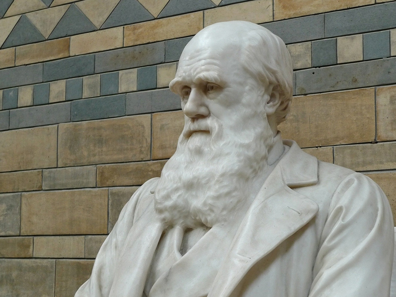 “Contribuições da economia diante da crise internacional”, por Victor Basso, CEO da Opuspac