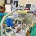 Vida de crianças são salvas por novo conceito de UTI Neonatal Neurológica