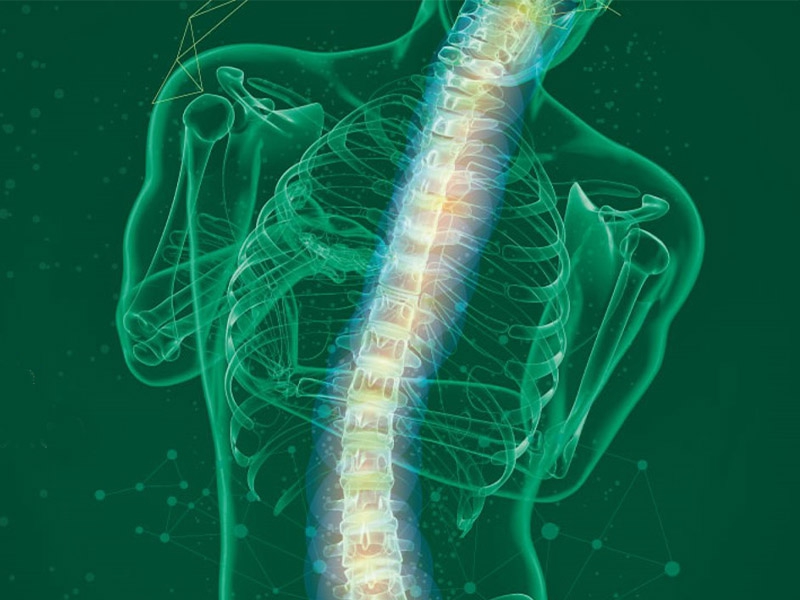 AACD abre as inscrições para o I Simpósio de Escoliose