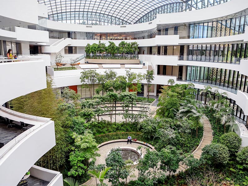 Einstein inaugura em agosto seu novo Centro de Ensino e Pesquisa