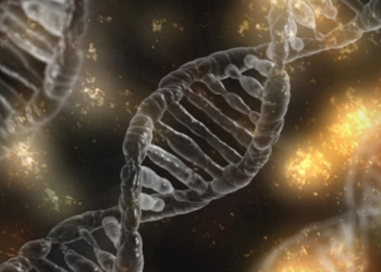 “Metodologia das Mudanças”, por Victor Basso, CEO da Opuspac