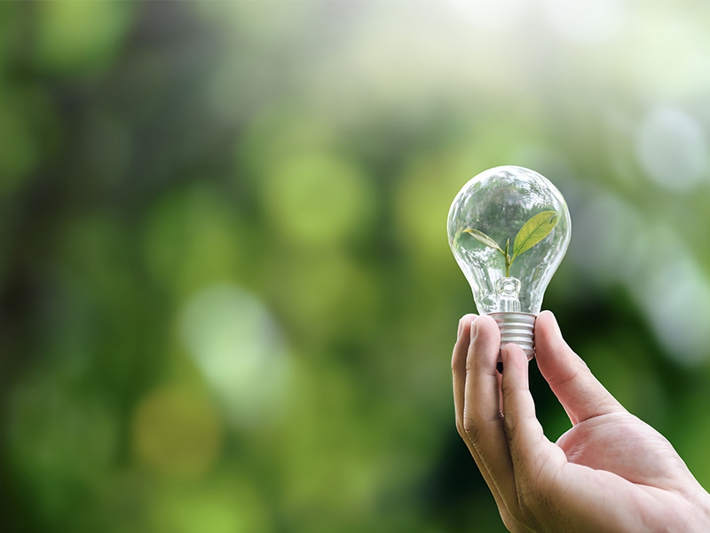 Pfizer lidera ranking de ESG no setor farmacêutico