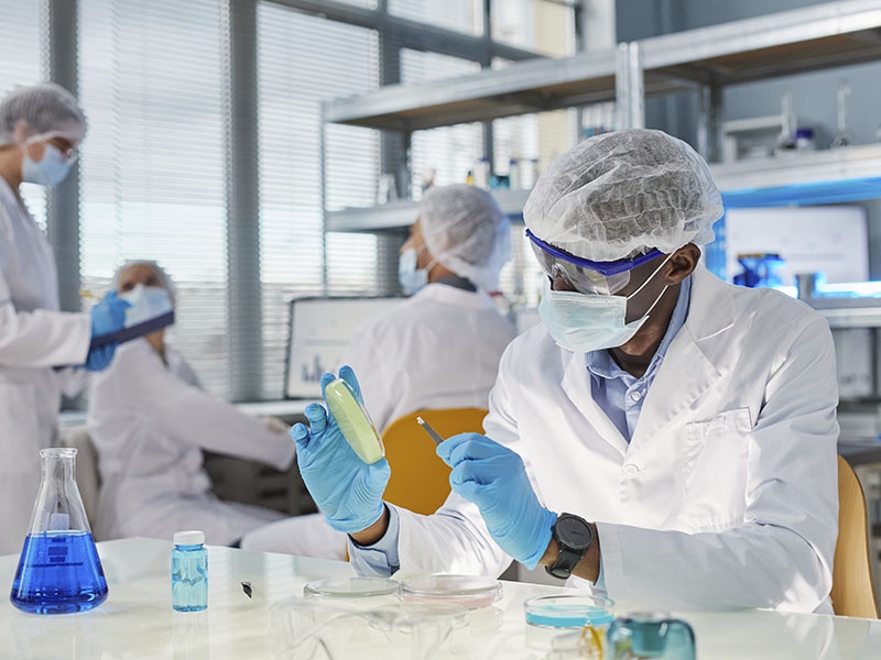 pesquisa científica