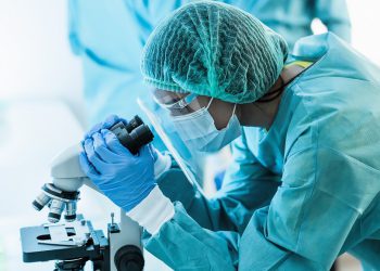 Hapvida NotreDame Intermédica
