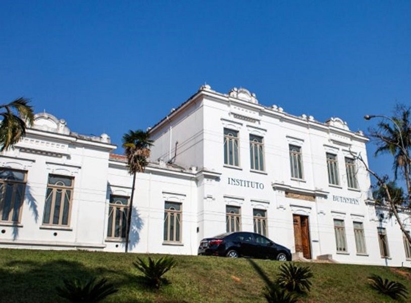 Instituto Butantan