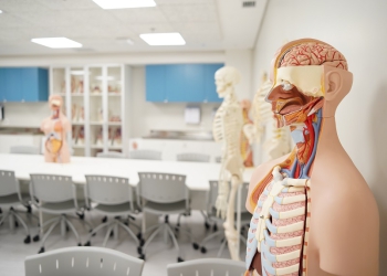 Faculdade Moinhos de Vento