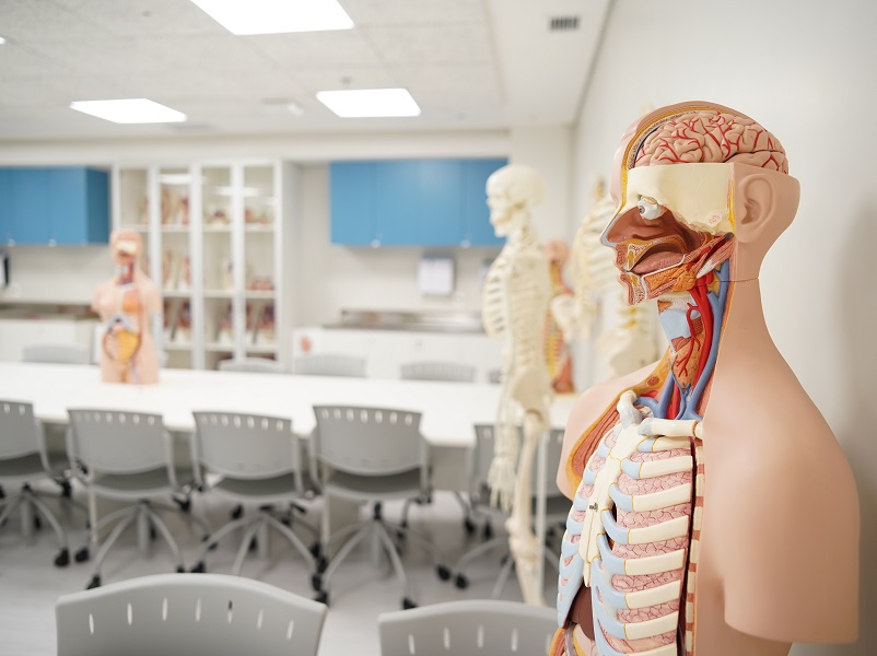 Faculdade Moinhos de Vento