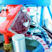 Sepaco ECMO-capa-2-1024x568