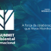Hospital Moinhos de Vento promove 4º Summit Ambiental Internacional