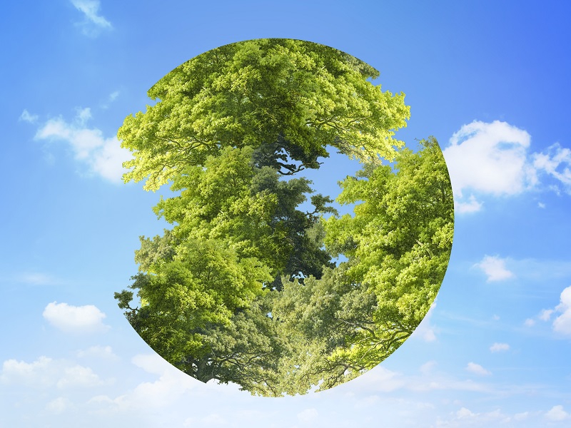 sustentabilidade
