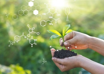 Amazônia e a indústria farmacêutica: inovação em Pesquisa