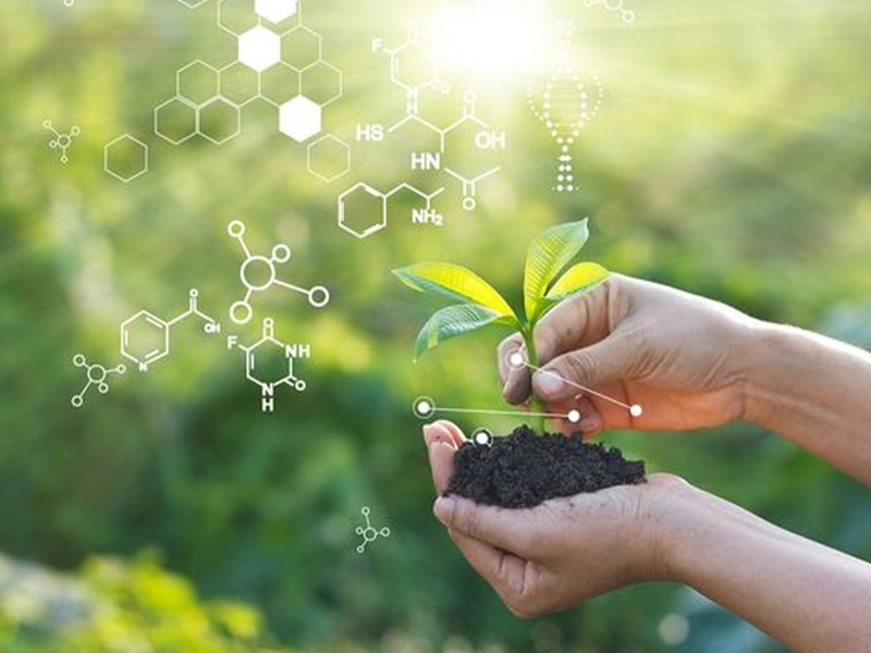 Amazônia e a indústria farmacêutica: inovação em Pesquisa