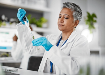 Anvisa libera Embrapa para estudar cultivo de cannabis sativa no Brasil