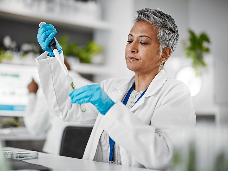 Anvisa libera Embrapa para estudar cultivo de cannabis sativa no Brasil