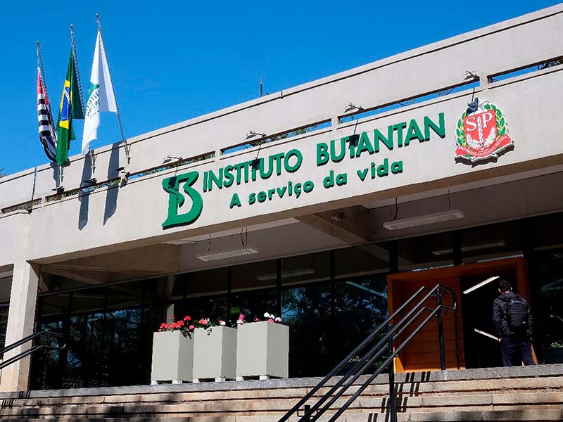 Investimento no Butantan fortalece vacinação contra a dengue