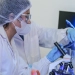 Brasil lança centro para produção de terapia CAR-T contra câncer